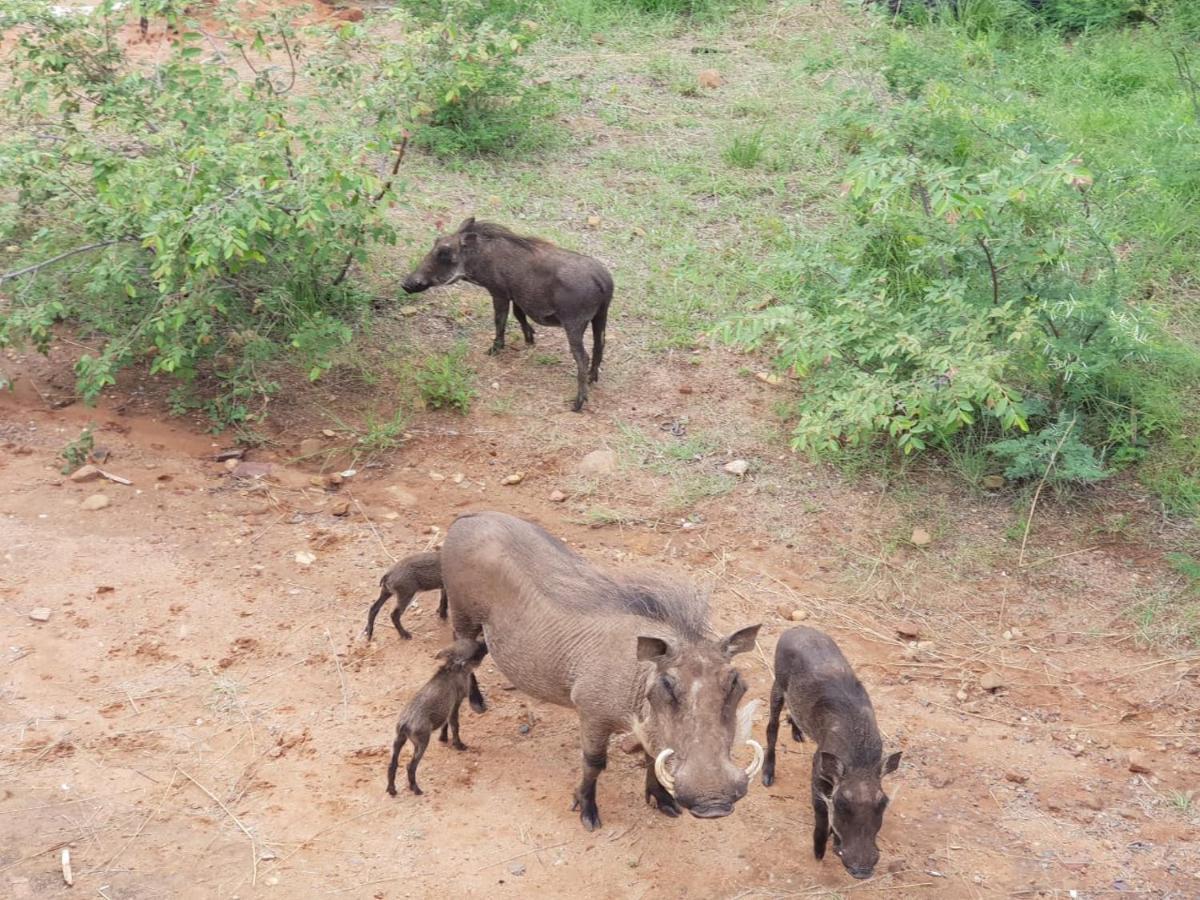 636 Itaga Safari Lodge, Mabalingwe Nature Reserve Mabula Game Reserve 외부 사진