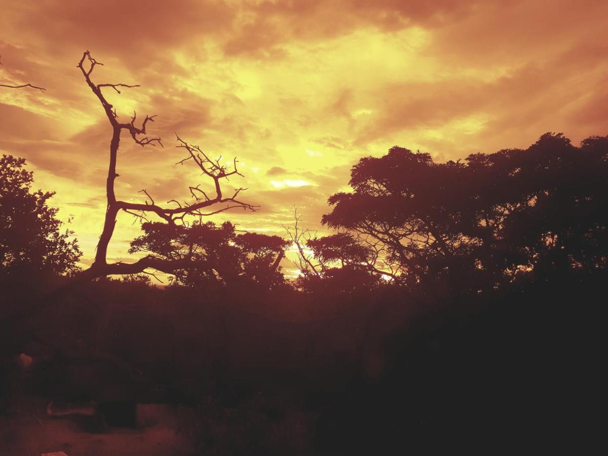 636 Itaga Safari Lodge, Mabalingwe Nature Reserve Mabula Game Reserve 외부 사진