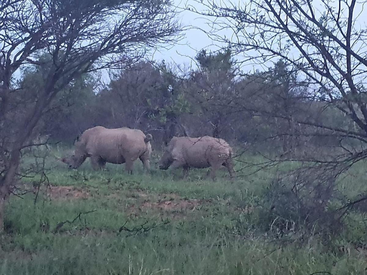 636 Itaga Safari Lodge, Mabalingwe Nature Reserve Mabula Game Reserve 외부 사진